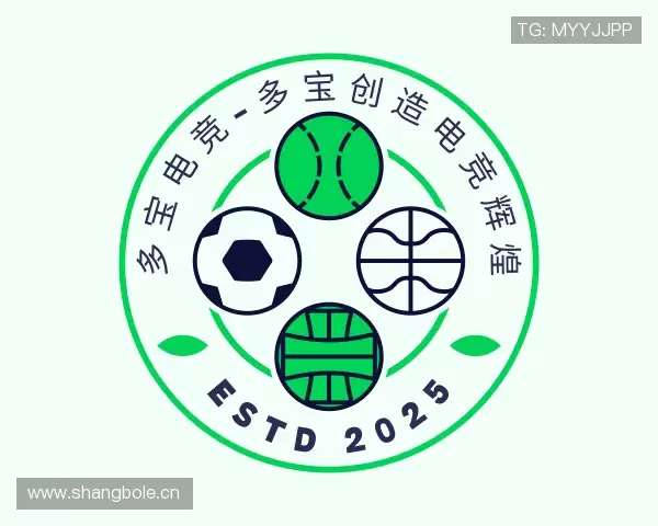 关于多宝电竞